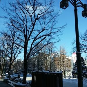 雪の大通公園